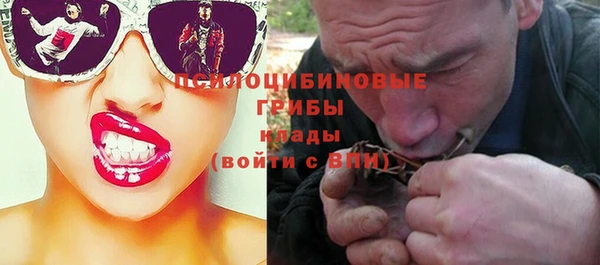хмурый Арсеньев