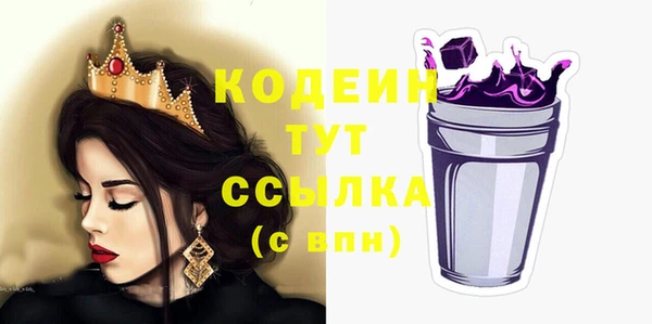 хмурый Арсеньев