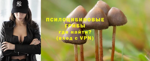 молекула духа Армянск
