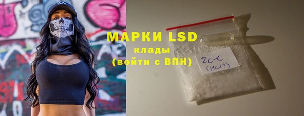 хмурый Арсеньев