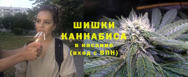 хмурый Арсеньев