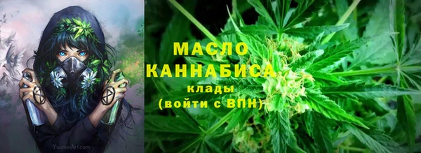хмурый Арсеньев