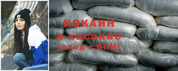 хмурый Арсеньев