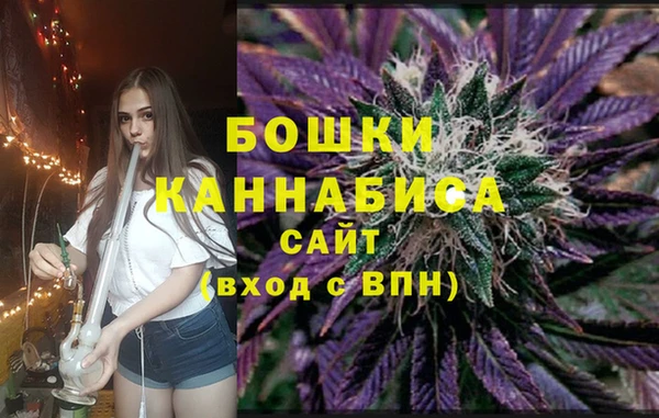 хмурый Арсеньев