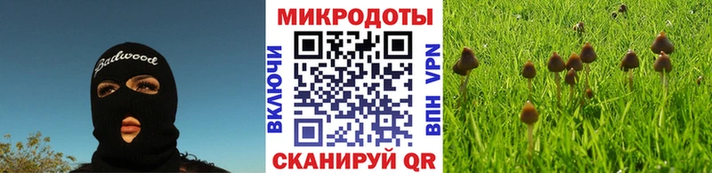 Псилоцибиновые грибы MAGIC MUSHROOMS  как найти закладки  Темрюк 